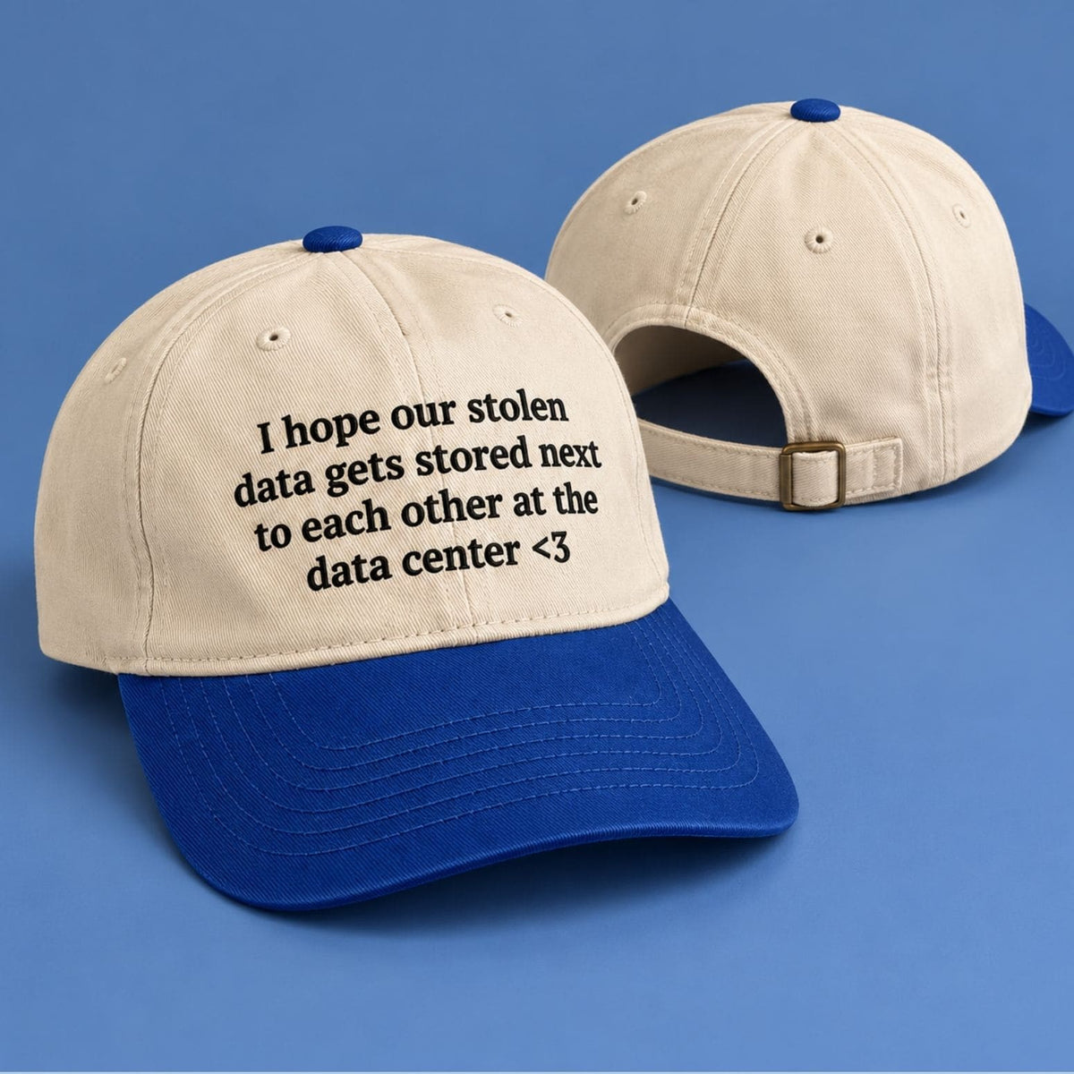 I Hope Our Stolen Data Gets Stored Next To Each Other At The Data Center Hat Funny Saying Baseball Cap - Foxy23shop