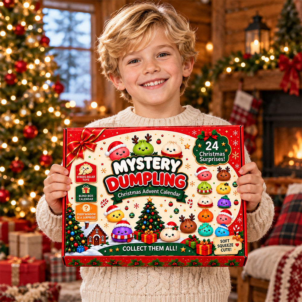 Christmas Dumpling Advent Calendar 24 Days Of Christmas Dumplings Xmas Gifts - Foxy23shop