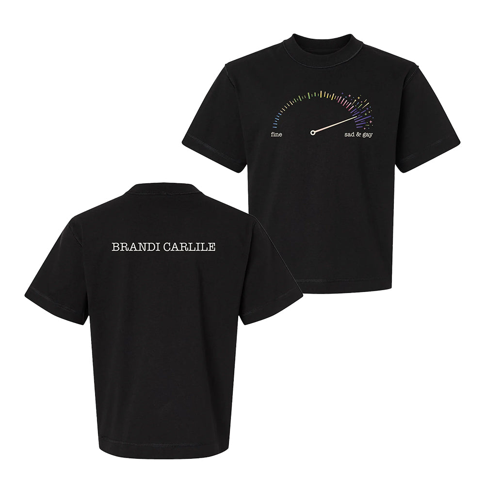 Brandi Carlile Merch Sad Gay Speedometer T-Shirt Gifts For Brandi Carlile Lovers