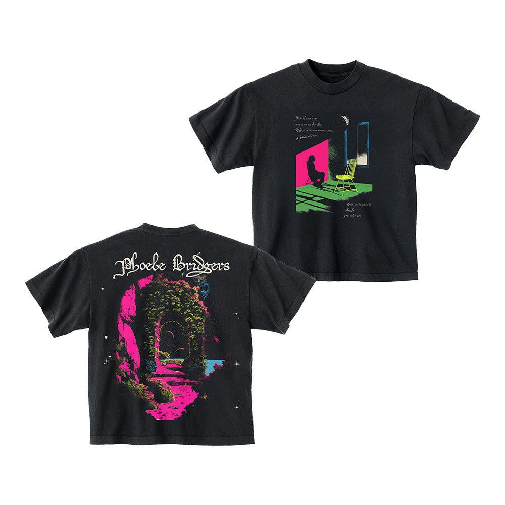 Phoebe Bridgers Merch Phoebe Bridgers Chair T-Shirt Clothing Gift For Sisters - Foxy23shop