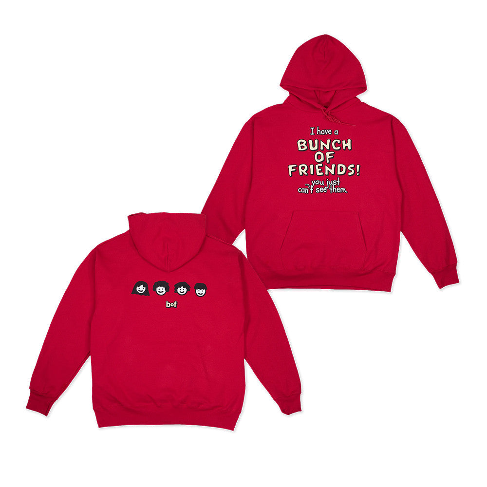 Bunch Of Friends Merch I Have A Bunch Of Friends Hoodie Gifts For Besties - Foxy23shop