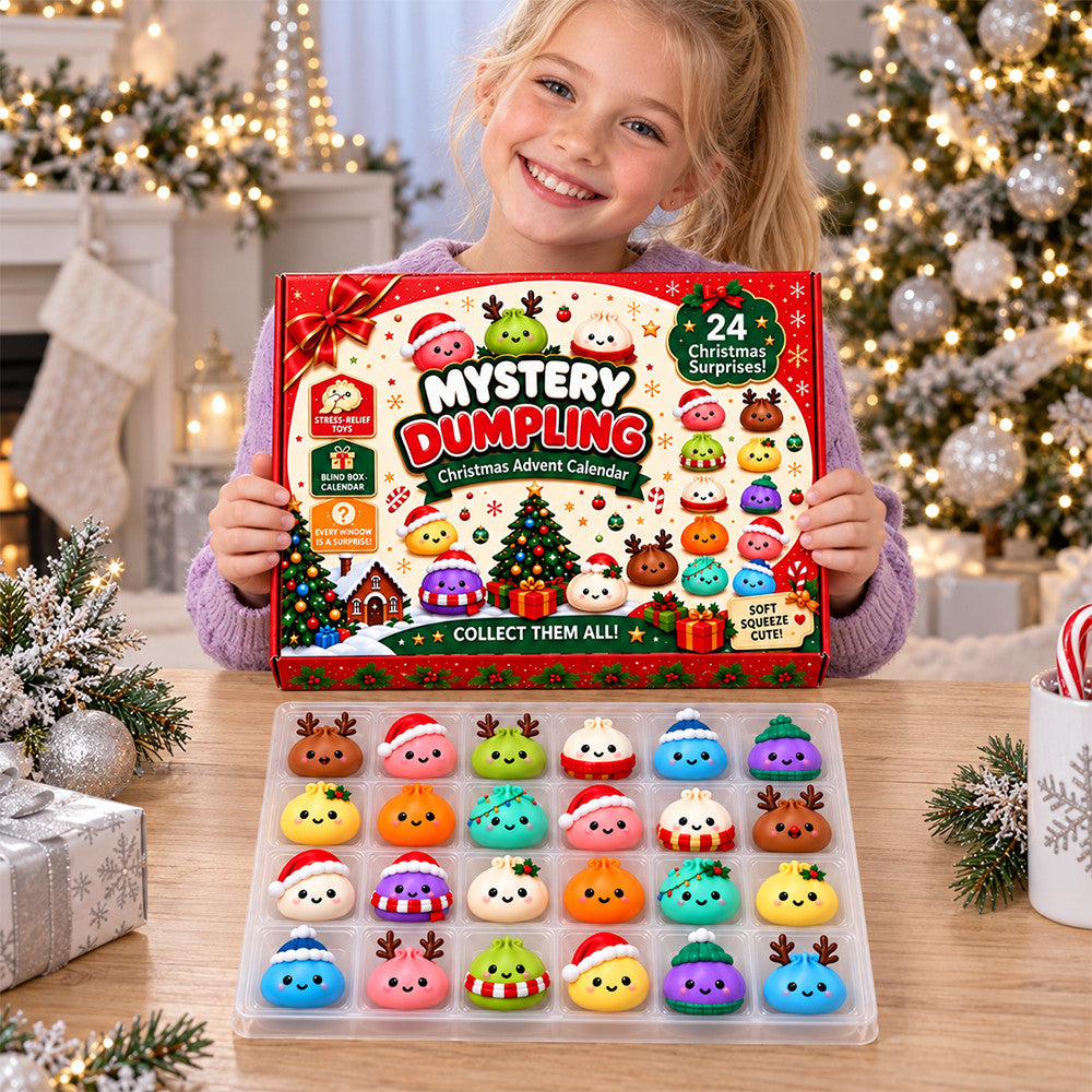 Christmas Dumpling Advent Calendar 2026 Christmas Decor Presents For Sisters - Foxy23shop