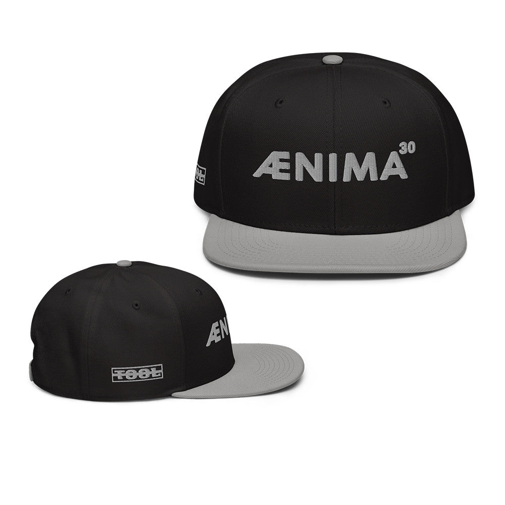 Tool Merch Aenima 30 Snapback Hat Tool Snapback Cap Presents For Fans - Foxy23shop