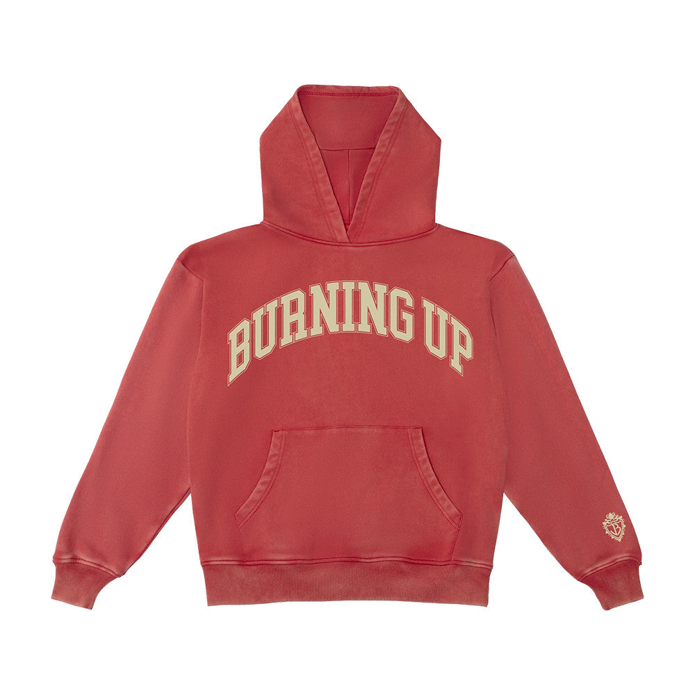 Jonas Brothers Merch Burning Up Hoodie Best Presents For Jonas Brothers Fans - Foxy23shop