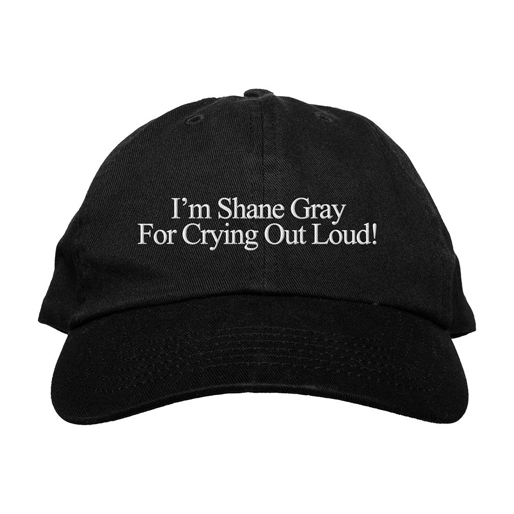 Jonas Brothers Shane Hat Jonas Brothers Baseball Cap Presents For Music Lovers - Foxy23shop