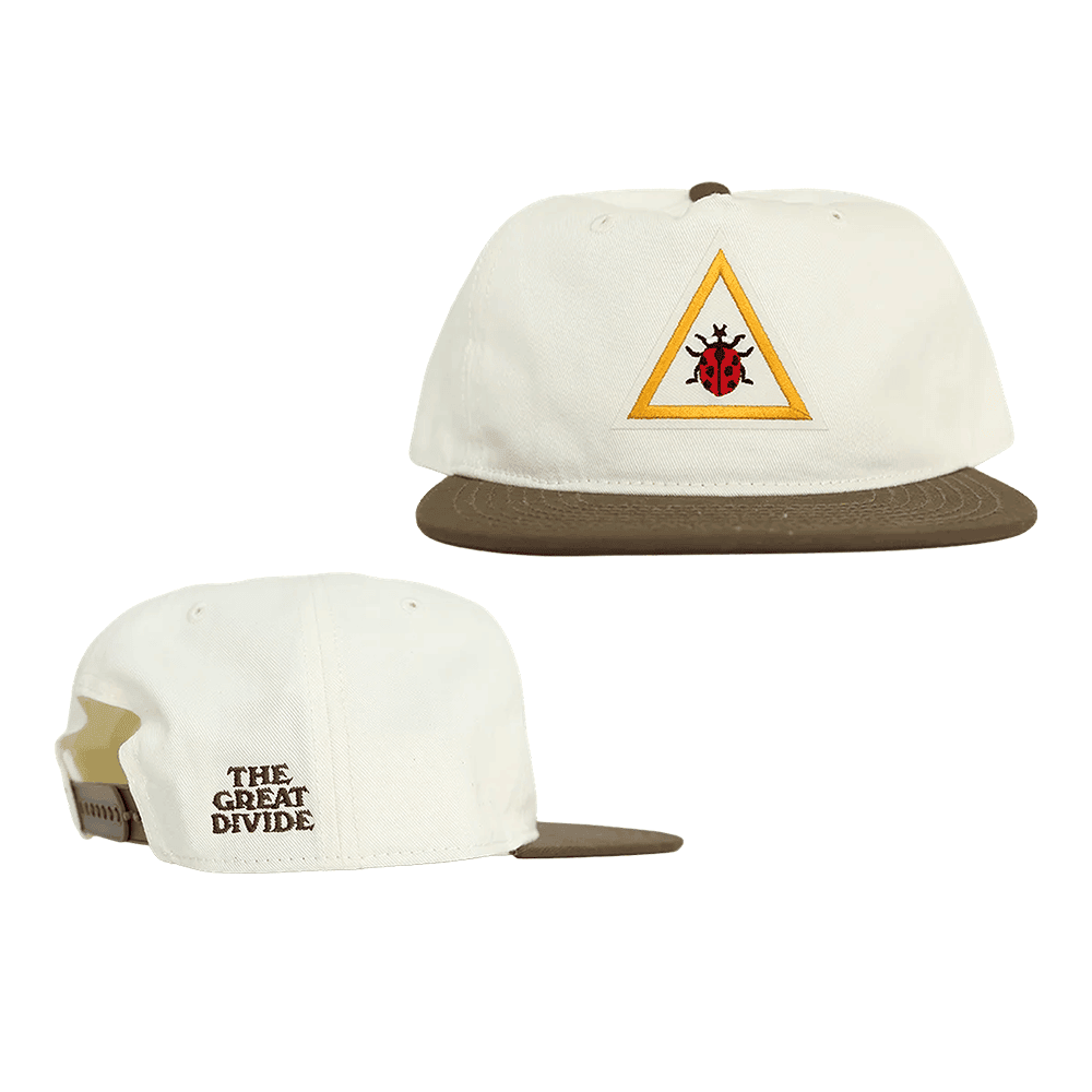 Noah Kahan The Great Divide Snapback Hat Embroidered Ladybug Hat Noah Kahan Tour Merch Fan Gift - Foxy23shop